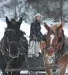 Sleigh rides