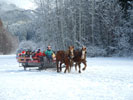 sleigh